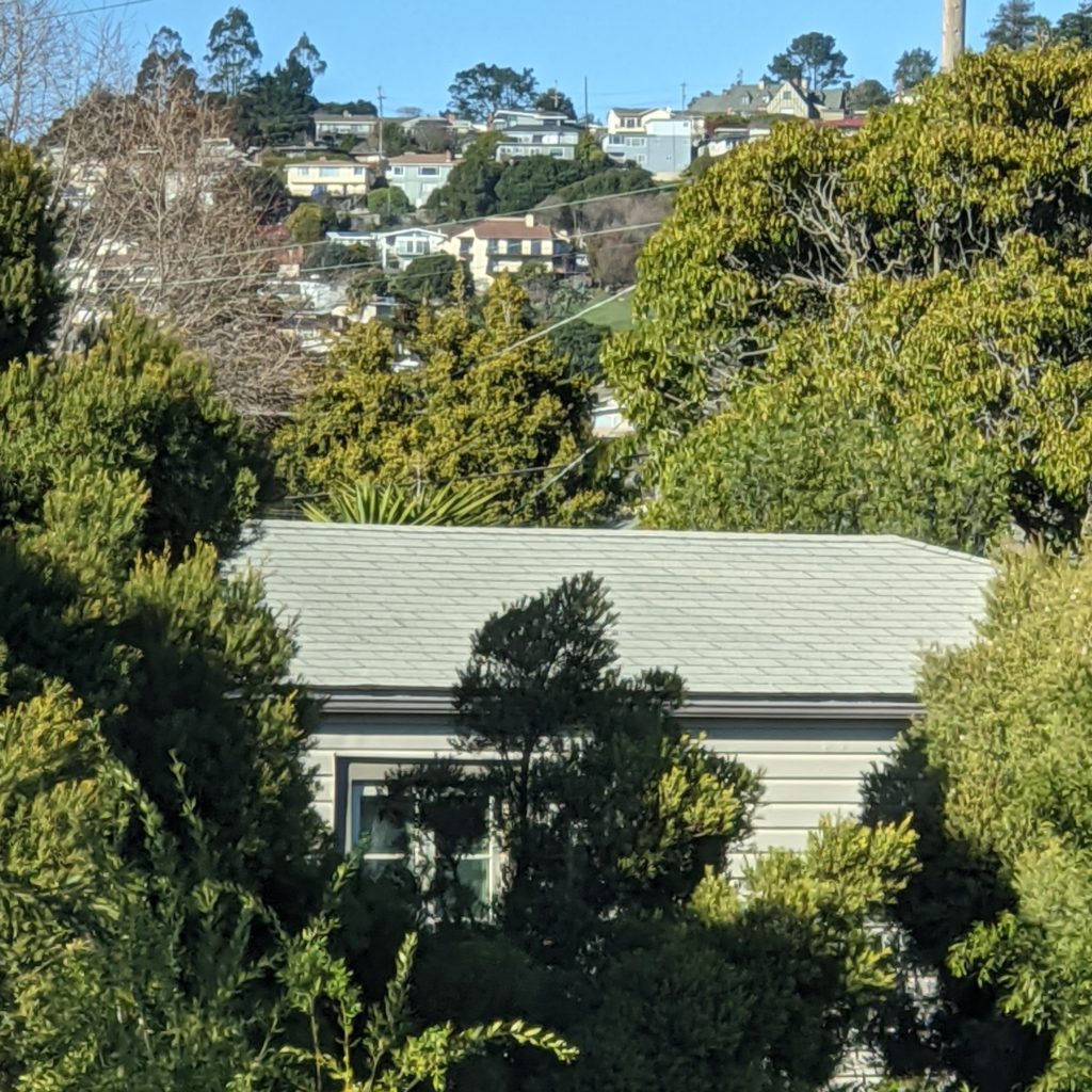 Local rooftop